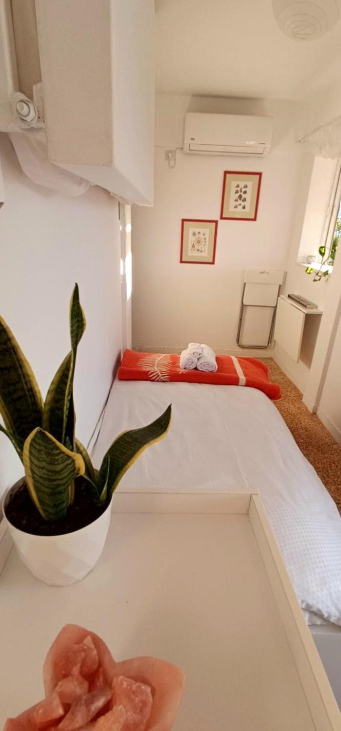 Centre Oasis Apartment